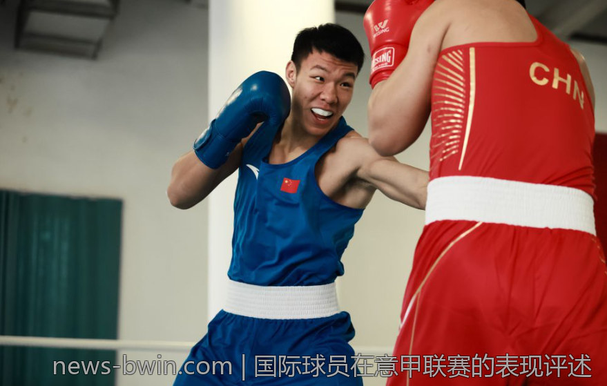 国际球员在意甲联赛的表现评述