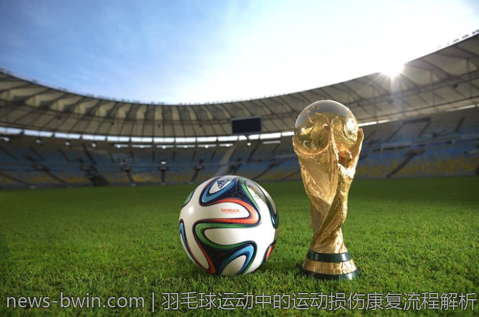 羽毛球运动中的运动损伤康复流程解析