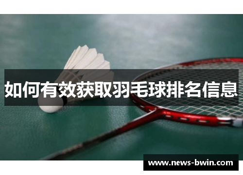 如何有效获取羽毛球排名信息