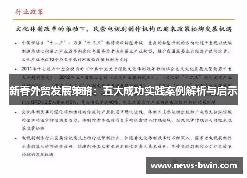新春外贸发展策略：五大成功实践案例解析与启示
