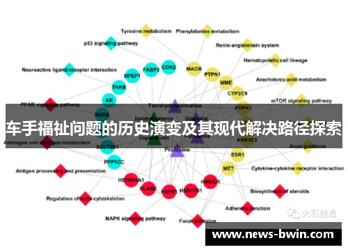 车手福祉问题的历史演变及其现代解决路径探索