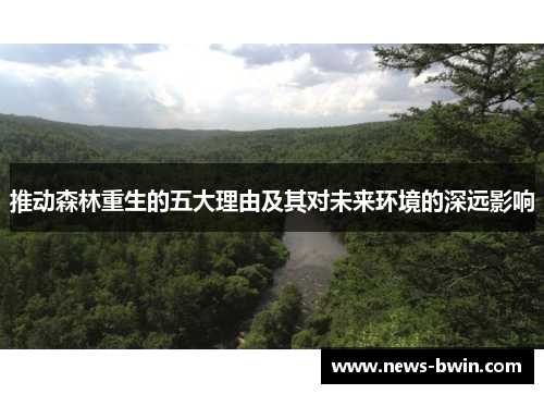 推动森林重生的五大理由及其对未来环境的深远影响